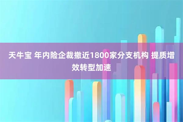 天牛宝 年内险企裁撤近1800家分支机构 提质增效转型加速