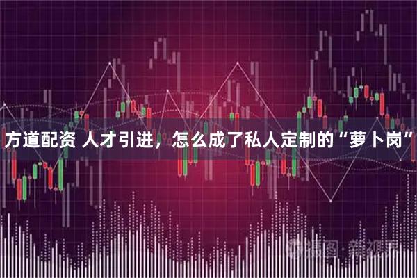 方道配资 人才引进，怎么成了私人定制的“萝卜岗”