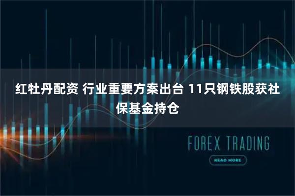 红牡丹配资 行业重要方案出台 11只钢铁股获社保基金持仓