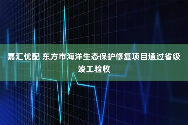 嘉汇优配 东方市海洋生态保护修复项目通过省级竣工验收