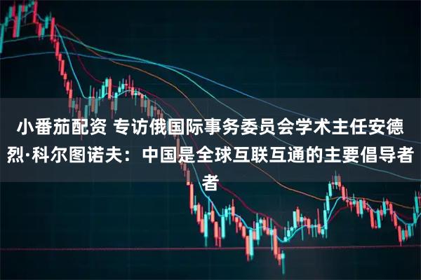 小番茄配资 专访俄国际事务委员会学术主任安德烈·科尔图诺夫：中国是全球互联互通的主要倡导者
