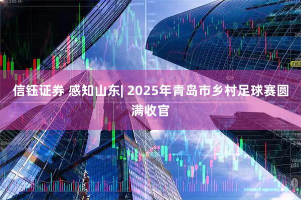 信钰证券 感知山东| 2025年青岛市乡村足球赛圆满收官