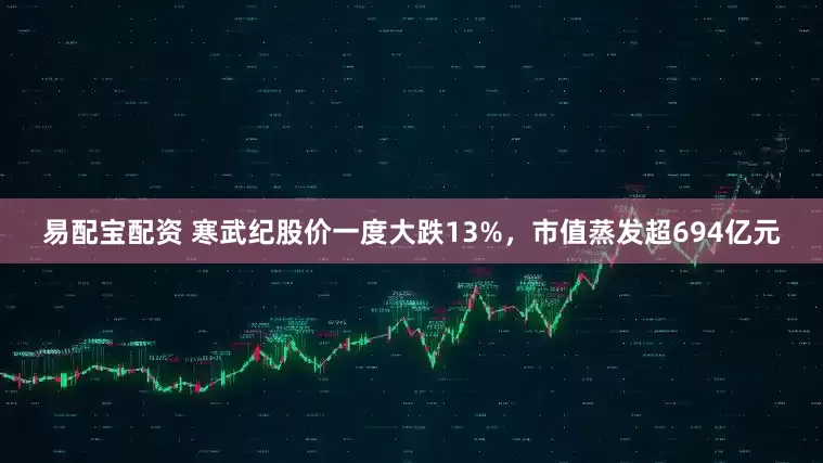 易配宝配资 寒武纪股价一度大跌13%，市值蒸发超694亿元