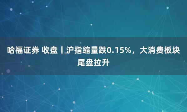 哈福证券 收盘丨沪指缩量跌0.15%，大消费板块尾盘拉升